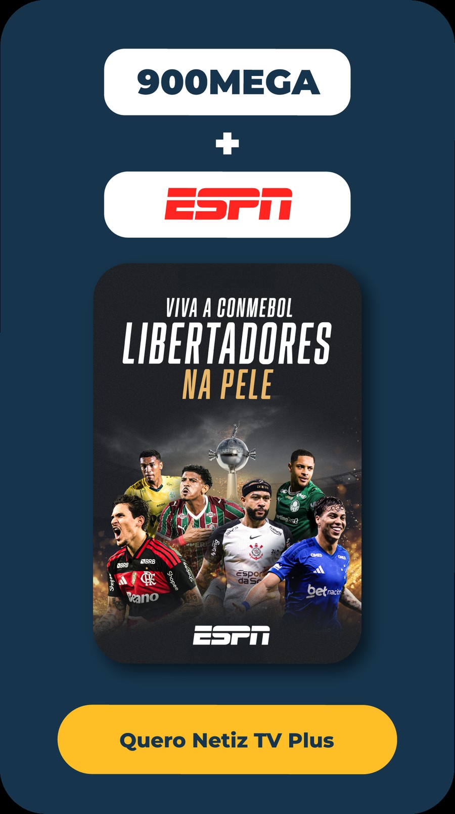 Netiz TV Plus + ESPN — Libertadores