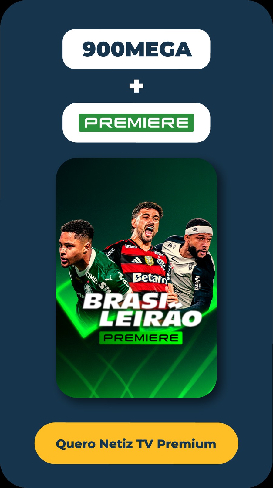 Netiz TV Premium + Premiere — Brasileirão